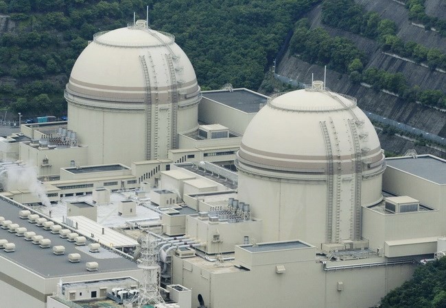 Japan to restart 2 nuclear reactors - ảnh 1