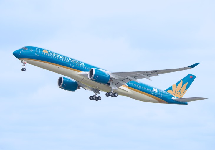 Vietnam Airlines, Jetstar Pacific ensure punctuality amid increased demand for Tet - ảnh 1