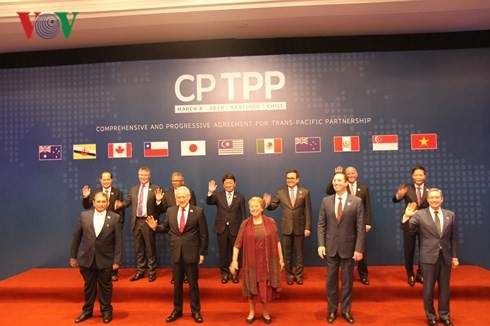 칠레에 CPTPP협정 정식 체결 - ảnh 2