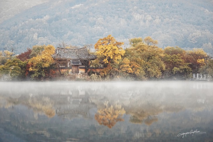 베트남 사진작가의 사진을 통해 바라본 한국 가을의 아름다움 - ảnh 2