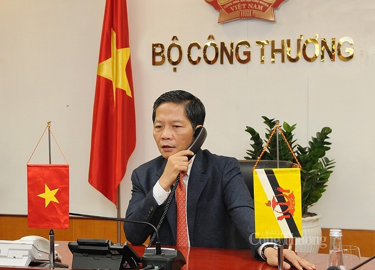 베트남 – 브루나이, 교역 개발에 노력 - ảnh 1