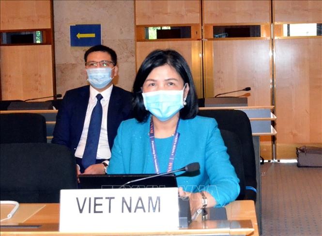베트남, 유엔 인권이사회 제 44차 정기회의 문건 작성에 적극적으로 참가 - ảnh 1