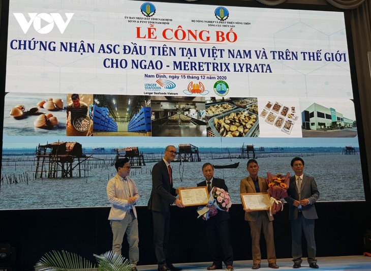 Meretrix Lyrata 조개에 대한 베트남에 첫 ASC 인증서 - ảnh 1