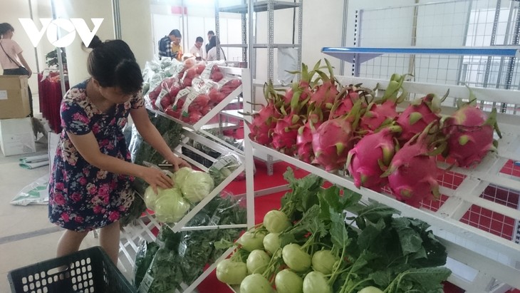 세계무역기구 가입 이후 베트남 농업의 도약적 발전 - ảnh 1