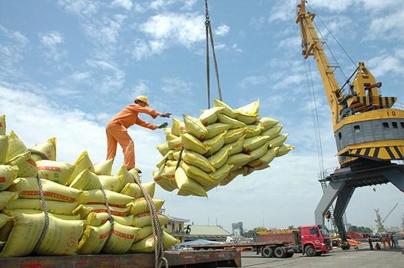 베트남 쌀 브랜드, 까다로운 시장에서 위상 확립  - ảnh 1