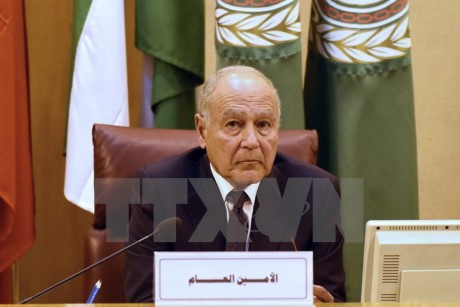   La Ligue arable n’a pas l’intention de suspendre le Qatar - ảnh 1