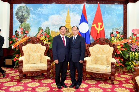 Célébration de l’Année de solidarité et d’amitié Vietnam-Laos - ảnh 1