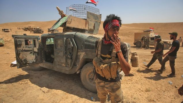 Le Pentagone soucieux d'assurer l'intégrité territoriale de l'Irak - ảnh 1