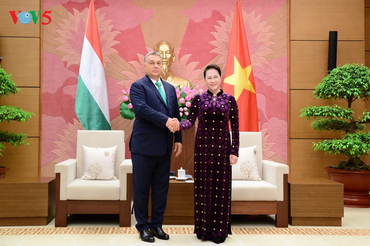 Les dirigeants vietnamiens reçoivent le Premier ministre hongrois - ảnh 3