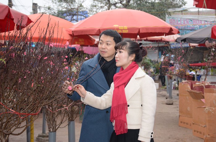 Les vietnamiens préparent leurs bonsaïs pour la fête du Têt - ảnh 2