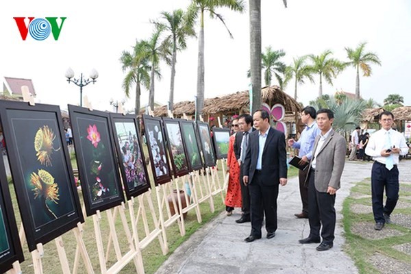 Activités en l’honneur du 128e anniversaire du président Hô Chi Minh - ảnh 1