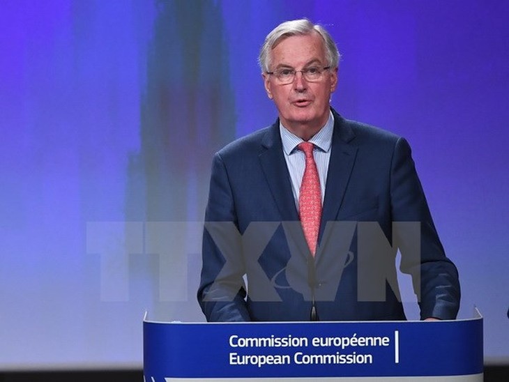 Barnier: le Livre blanc sur l'après-Brexit soulève une “série de questions“ - ảnh 1