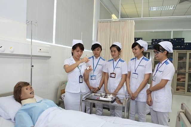 6 entreprises vietnamiennes envoient des gardes-malades au Japon pour faire des stages - ảnh 1