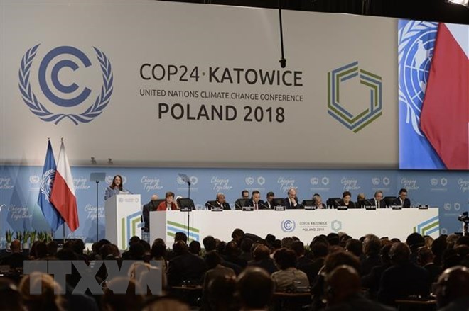 COP24 : la suite du parcours contre le dérèglement climatique - ảnh 1