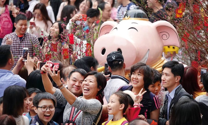 Les pays asiatiques fêtent l'année du cochon  - ảnh 1