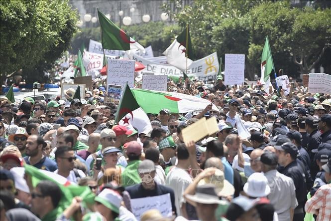 Une foule de manifestants dans les rues d'Alger pour le 20e vendredi de contestation - ảnh 1