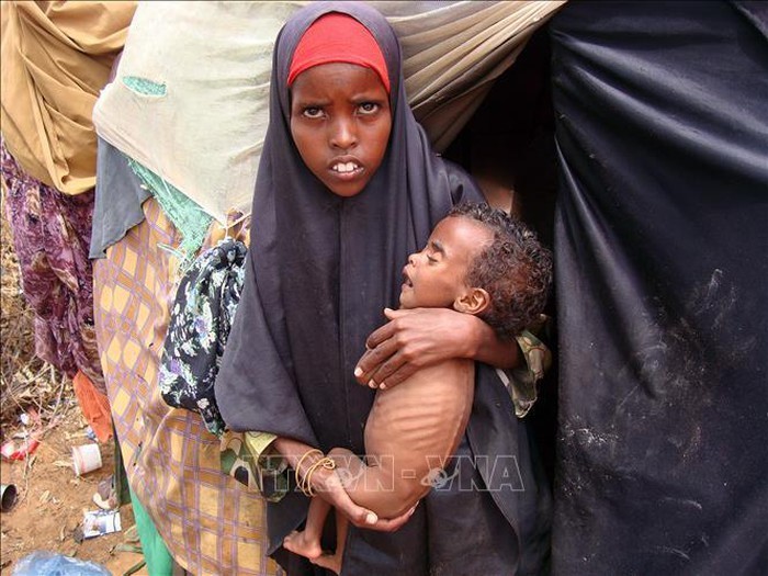 Malnutrition infantile : Signal d’alarme des agences humanitaires de l’ONU - ảnh 1