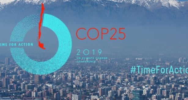 La COP25 aura bien lieu en Espagne en décembre - ảnh 1