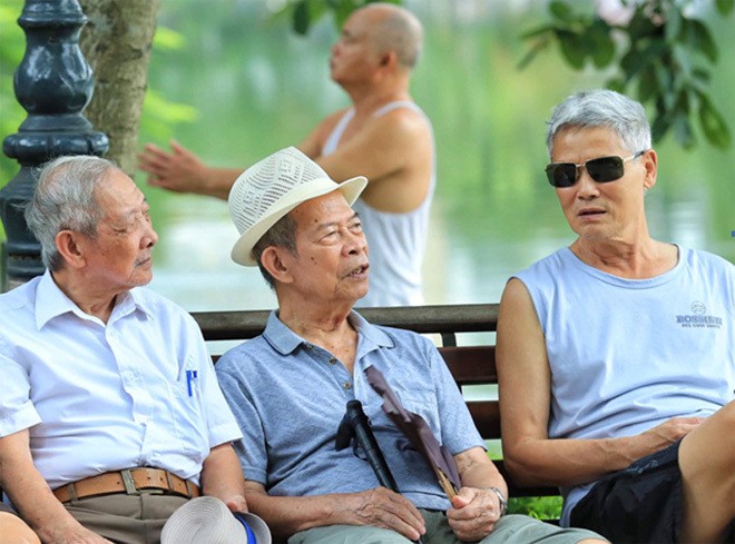 Vieillissement de la population: quelle solution pour le Vietnam? - ảnh 1