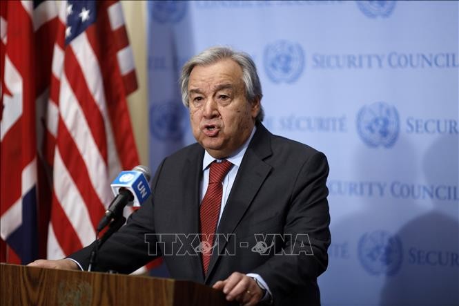 Le Conseil de sécurité réaffirme son attachement à la Charte de l’ONU  - ảnh 1