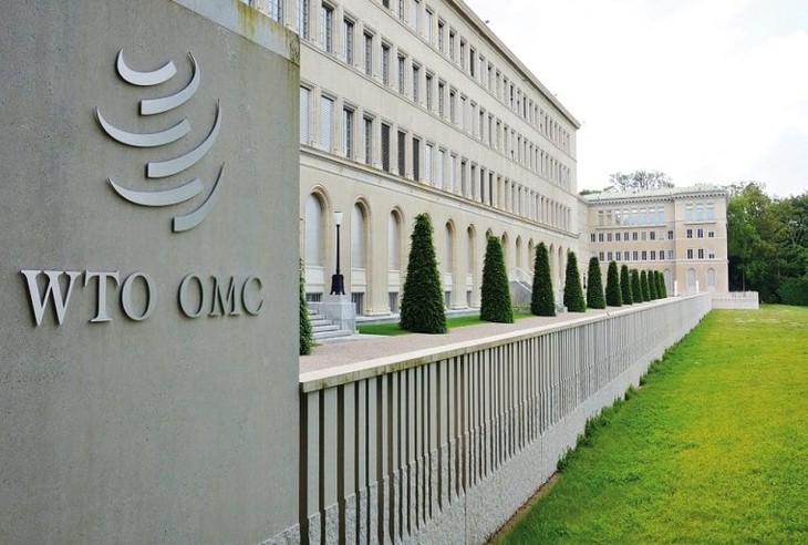 Accord sino-américain: l'UE veut saisir l'OMC en cas de «distorsions commerciales» - ảnh 1