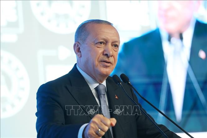 Méditerranée orientale: Recep Tayyip Erdogan appelle la Grèce à ne pas «gâcher» l'opportunité de dialogue - ảnh 1