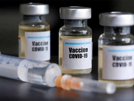 Un accès mondial et équitable au futur vaccin contre le Covid-19 - ảnh 1