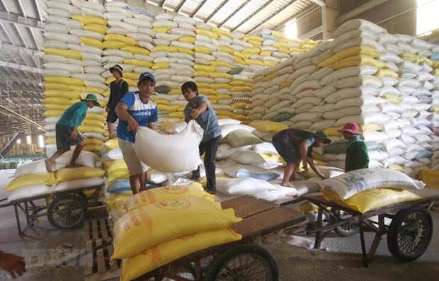 L’UEEA promet d’importer 10.000 tonnes de riz du Vietnam en 2021 - ảnh 1