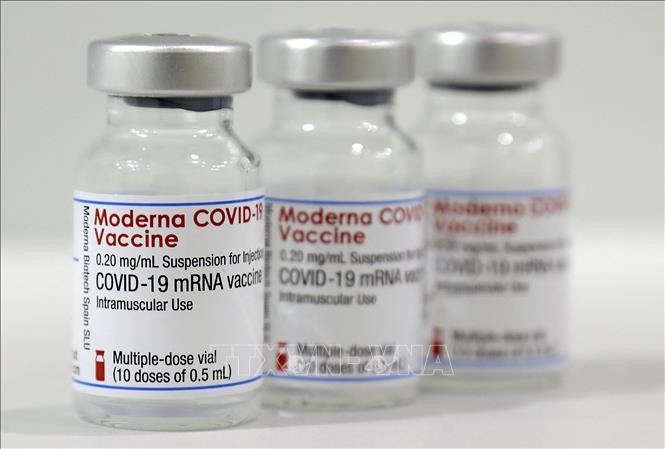 Vaccins anti-Covid : l’UE veut collaborer avec les États-Unis pour améliorer la production - ảnh 1
