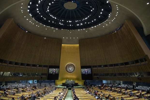 ONU: l’Iran et la RCA perdent leur droit de vote à l’Assemblée générale - ảnh 1