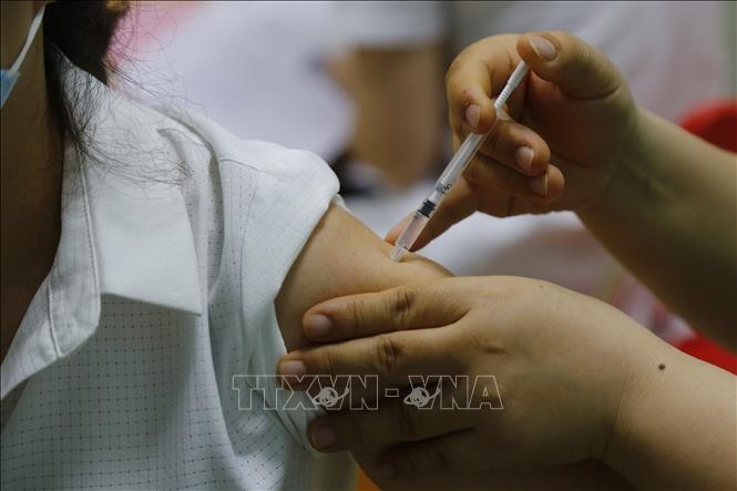 Covid-19: début des tests cliniques du vaccin ARCT-154  - ảnh 1