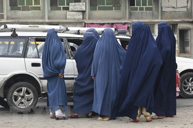 Afghanistan: le nouveau gouvernement taliban inclura  des femmes - ảnh 1