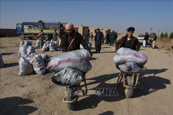 L'ONU appelle la communauté internationale à apporter une aide concrète au peuple afghan  - ảnh 1