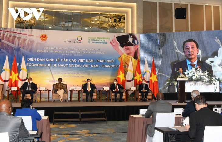 Le Forum économique de haut niveau Vietnam-Francophonie - ảnh 3