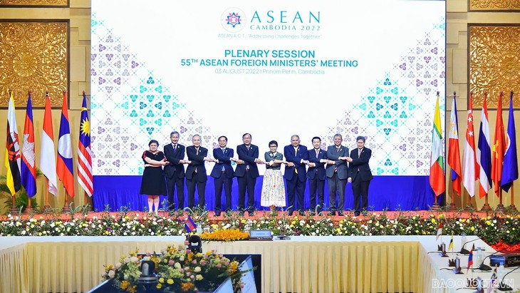 AMM-55: Renforcer la solidarité et consolider le rôle central de l’ASEAN - ảnh 1