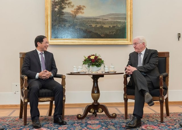 Le ministre des Affaires étrangères Bùi Thanh Son en visite officielle en Allemagne - ảnh 2