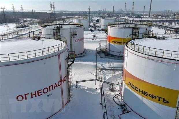 L’UE s’accorde sur le plafonnement des prix des produits pétroliers russes - ảnh 1