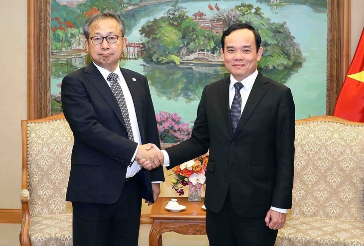 L’ambassadeur du Japon rencontre le vice-Premier ministre Trân Luu Quang - ảnh 1
