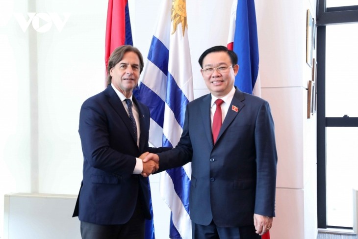 Le Vietnam prend en haute considération ses relations d’amitié et de coopération avec l’Uruguay - ảnh 1