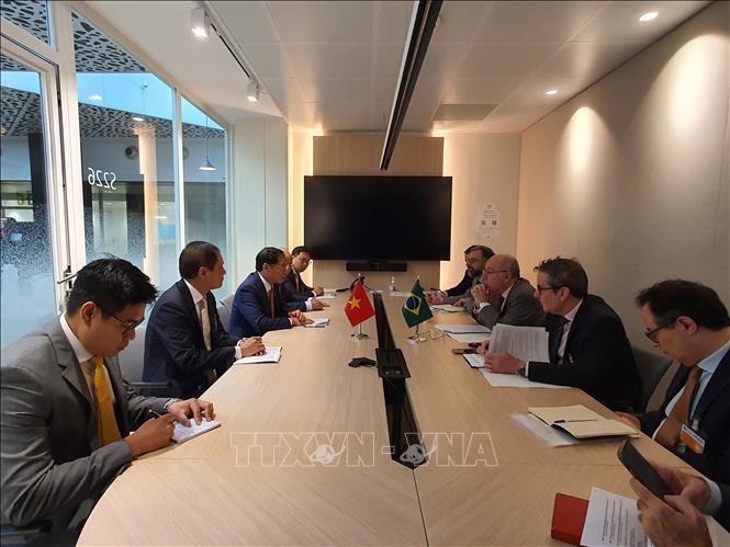 Le ministre Bùi Thanh Son achève sa visite en France et à l’OCDE - ảnh 1