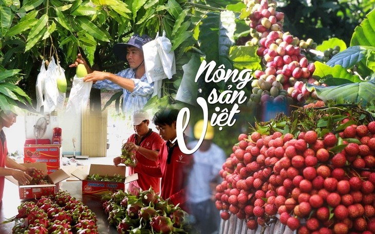 Comment labelliser les produits agricoles vietnamiens pour faire augmenter leur valeur ajoutée? - ảnh 1