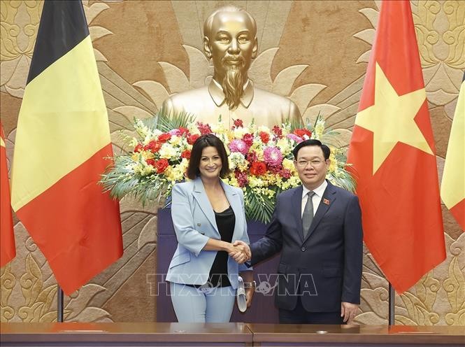 La présidente du Sénat belge achève sa visite officielle au Vietnam - ảnh 1