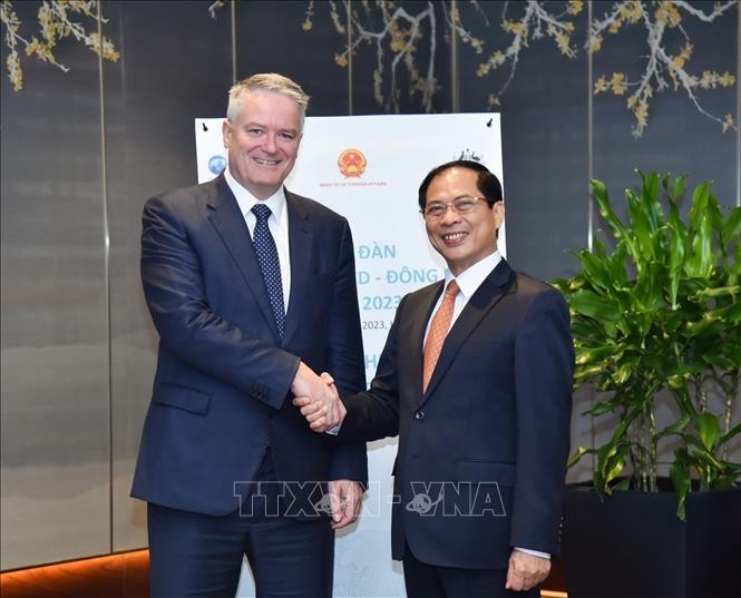 Le secrétaire général de l’OCDE reçu par le chef de la diplomatie vietnamienne - ảnh 1