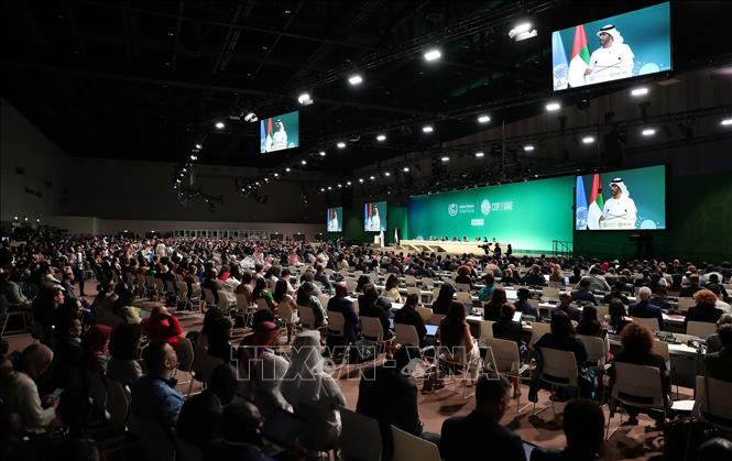 COP28 à Dubaï: le sommet prolongé faute d’accord sur les énergies fossiles - ảnh 1