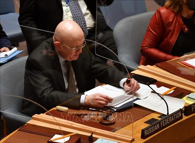 Corée: la Russie oppose son véto à une résolution du Conseil de sécurité de l'ONU - ảnh 1
