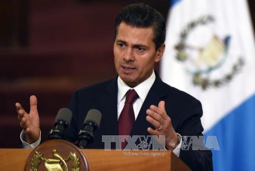 Президент Мексики обязался активизировать всеобъемлющее партнерство с Вьетнамом - ảnh 1