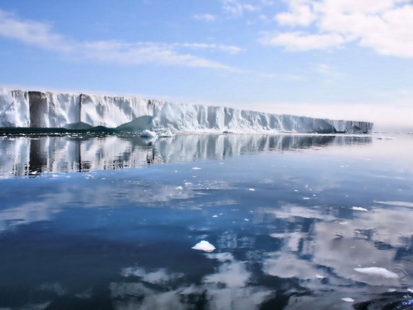 Арктические государства поддерживают решение своих разногласий мирным путем  - ảnh 1