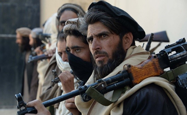 США и Талибан готовы провести переговоры по предотвращению кризиса в Афганистане - ảnh 1
