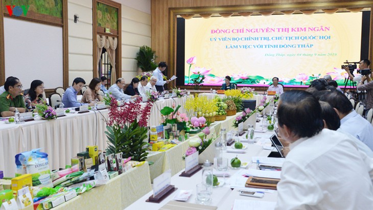 Нгуен Тхи Ким Нган провела рабочую встречу с руководством провинции Донгтхап - ảnh 1