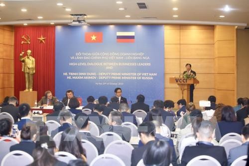 Вьетнам и Россия активизируют экономическое сотрудничество - ảnh 1